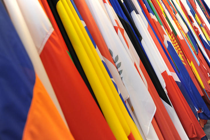 Close-up shot of the OSCE participating States' flags.