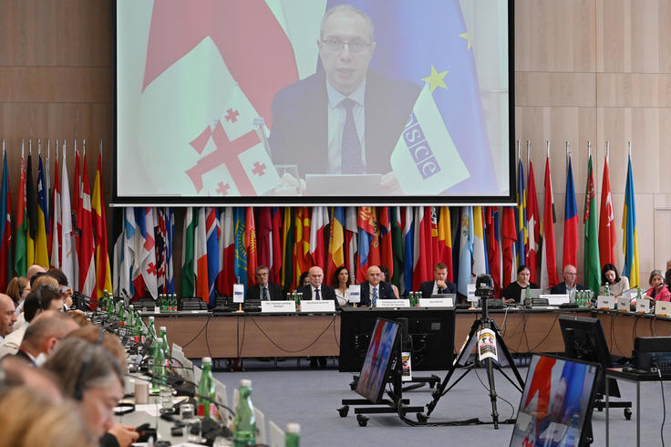 Ambassador Archil Karaulashvili, Director of the Directorate for Security Policy, International Organisations, and Euro-Atlantic Integration of the Ministry of Foreign Affairs of Georgia addresses the FSC Meeting on 29 July 2026, Vienna