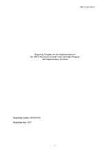 Response by the Delegation of Romania to the Small Arms and Light Weapons Questionnaire