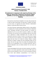 Statement by the Austrian EU Presidency in response to the report by Ms. Ingibjörg Sólrún Gísladóttir, Director of the Office for Democratic Institutions and Human Rights (ODIHR) 