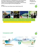 Presentation by Mr. Tobias Wolny, Senior Political Advisor