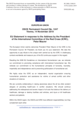 Statement by the Finnish EU Presidency in response to the address by the President of the International Committee of the Red Cross, H.E. Mr. Peter Maurer