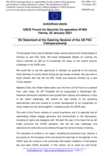 Statement by the Portuguese EU Presidency in response to the opening remarks by H.E. Mr. Philip T. Reeker, Acting Assistant Secretary of State for European and Eurasian Affairs, United States Department of State