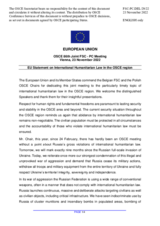 Statement by the Czech EU Presidency on "International Humanitarian Law in the OSCE Region"