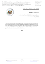 Statement by the Delegation of the United States of America on wildfires in Greece