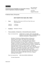 Diario de la 1041ª Sesión plenaria del Foro de Cooperación en materia de Seguridad