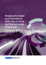 Bridging the Digital and Generational Skills Gap in Small- and Medium-sized Enterprises: Good Practice Brief