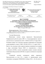 Statement by the Delegation of the Russian Federation on the "Final report on the work of the Informal Working Group on “Structured Dialogue” in 2025"