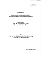 Statement of the Deputy Minister of Foreign Affairs of Egypt