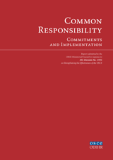 Common Responsibility: Commitments and Implementation