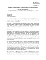 Statement by Mr. Rocen, Minister of Foreign Affairs of Montenegro