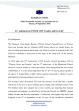 Statement by the Belgian Presidency of the Council of the EU in response to the presentation on United Nations Security Council resolution 1325 by the Special Envoy of Ireland for Women, Peace and Security, Baroness Nuala O'Loan