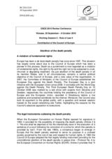 Contribution of the Council of Europe- A violation of fundamental rights