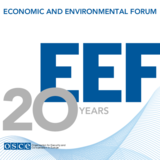 20-летняя годовщина учреждения Экономико-экологического форума ОБСЕ