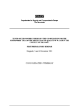 Consolidated summary of the first preparatory seminar for the 10th Economic Forum Consolidated summary of the first preparatory seminar for the 10th Economic Forum