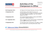 Report on the activities of the Chairperson-in-Office