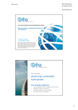 Presentation by Mr. Cameron Ironside, Sustainability Director, International Hydropower Association (IHA)