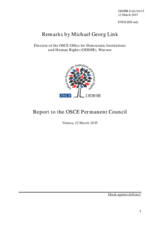 Report by the Director of the Office for Democratic Institutions and Human Rights (ODIHR), Mr. Michael Georg Link