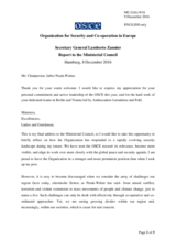 Statement by Amb. Lamberto Zannier